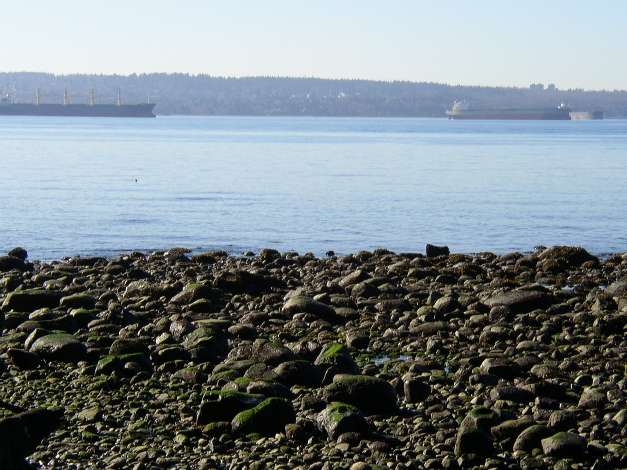 スタンレーパーク（StanleyPark）の海沿いにある砂利